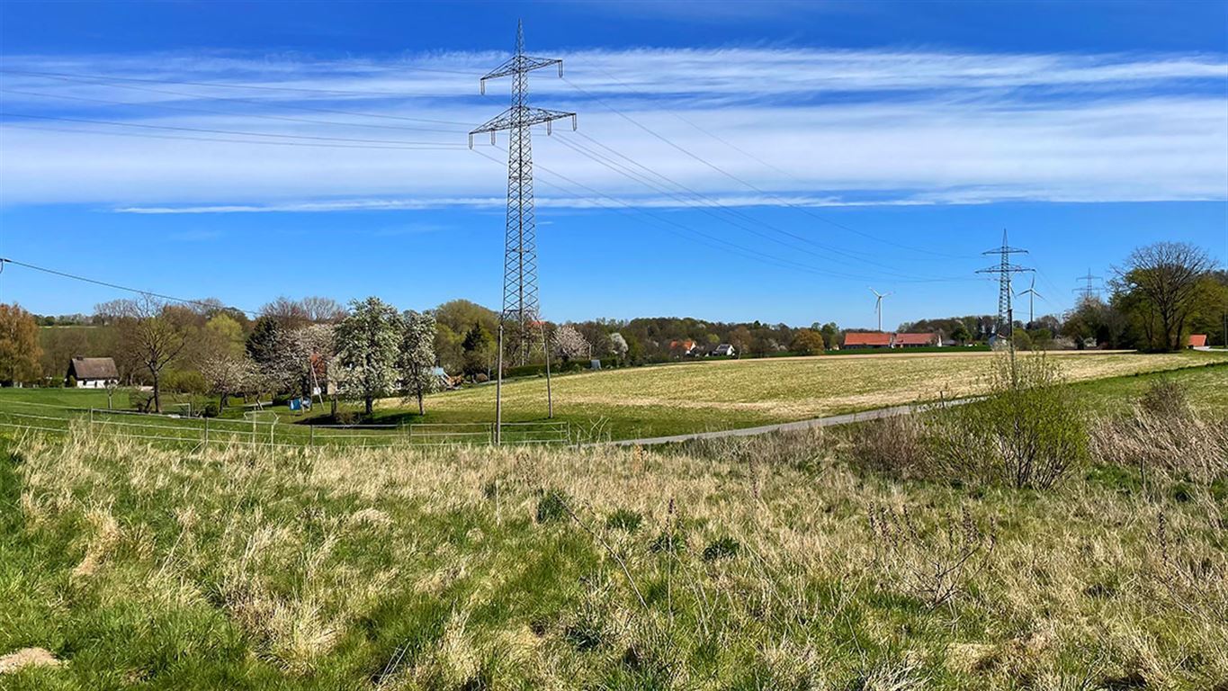 Ausblick aus dem Garten